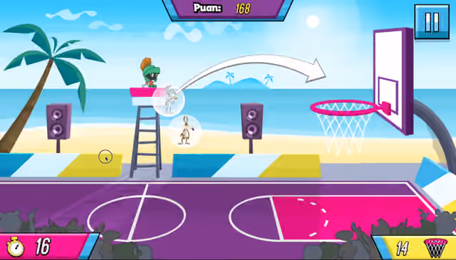 Basket Zorb