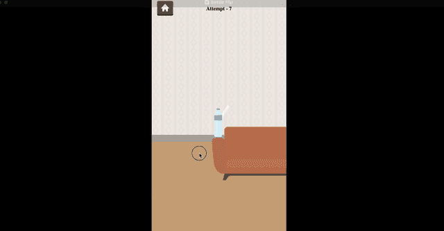 Bottle Flip
