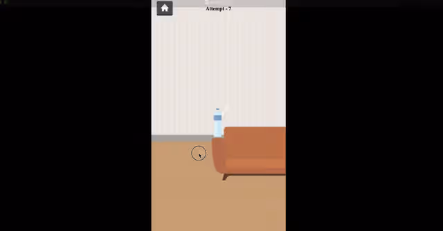 Bottle Flip