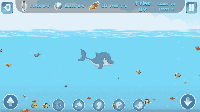 Funny Dolphin