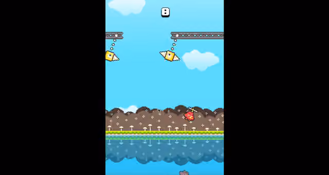 Swing Birds